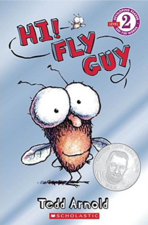 Hi Fly Guy