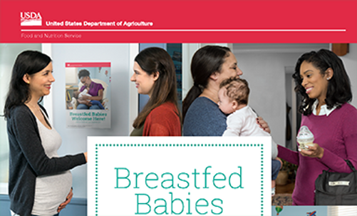Breastfed Babies Welcome Here - A Mother's Guide 