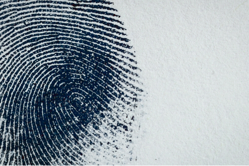 Fingerprint Services