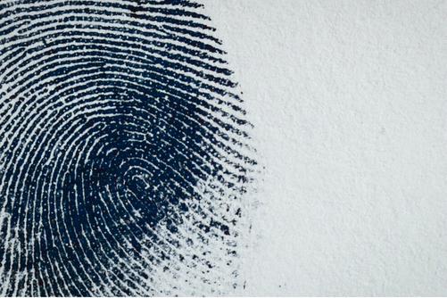 Fingerprinting