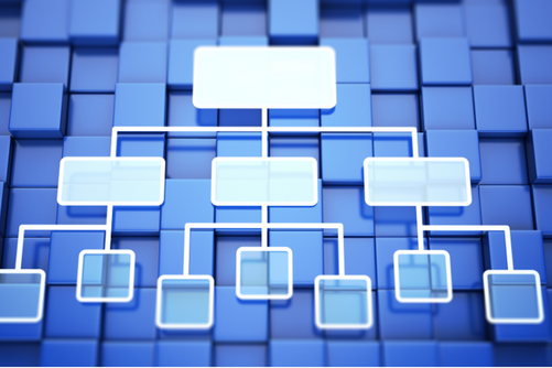 Organizational Chart