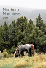 Northern Narratives 2021 book cover