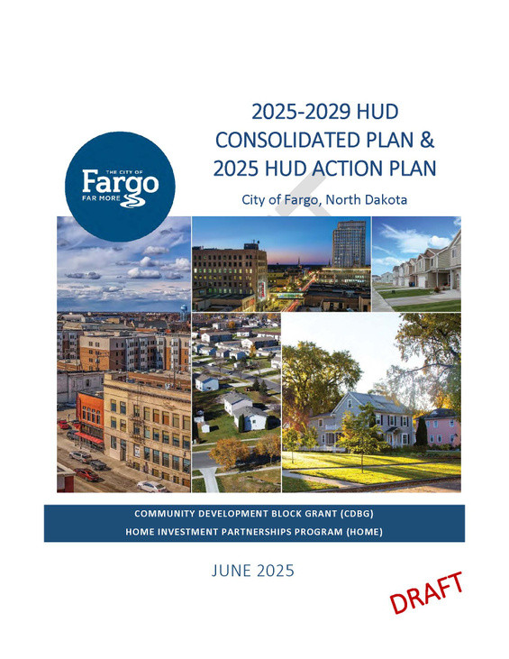 2025-2029 Consolidated Plan and 2025 Action Plan – DRAFT