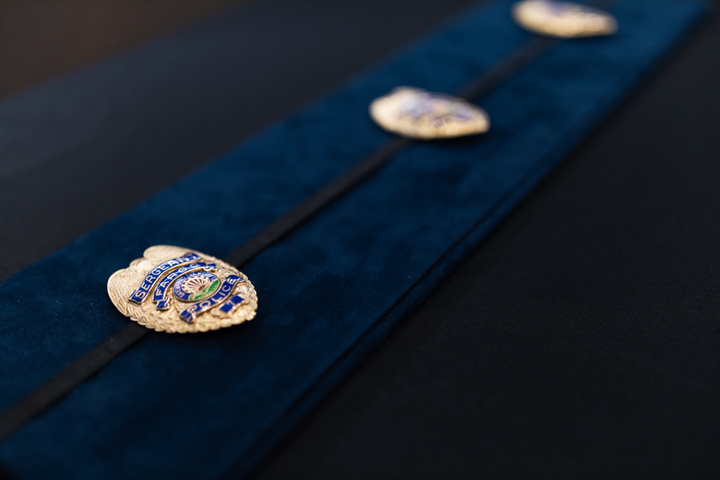 FPD Badges