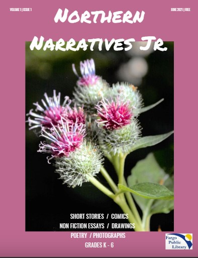 Northern Narratives Jr. 2021 cover