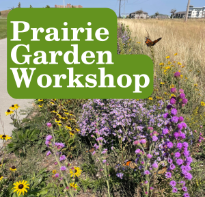 Prairie Garden image