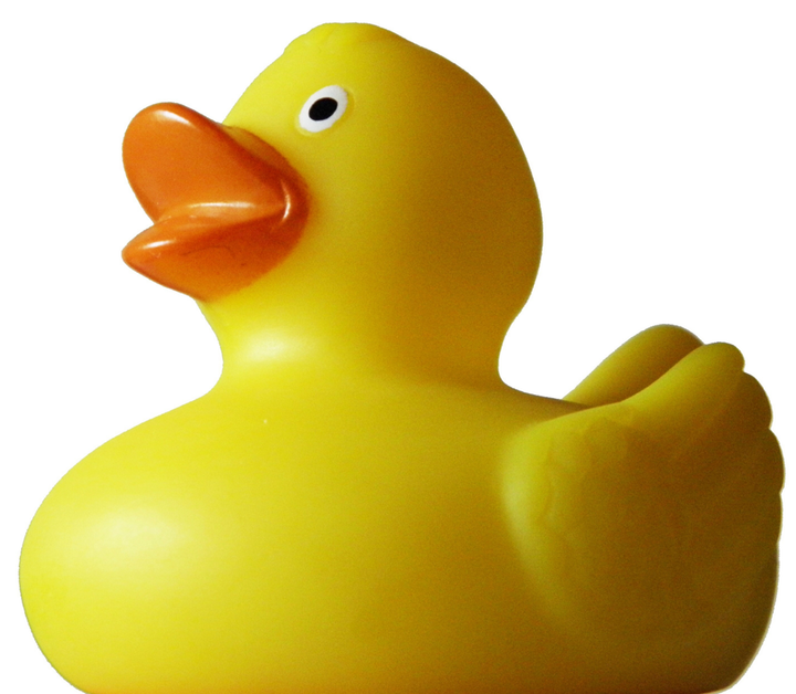 Rubber Duck