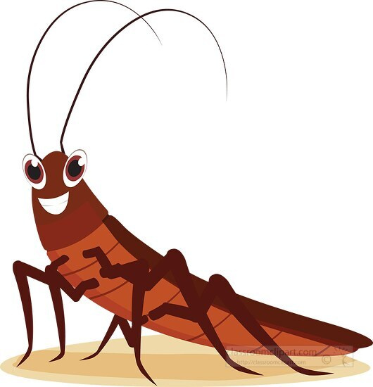 Cockroach