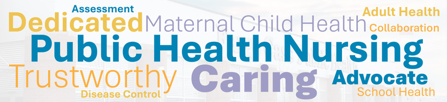 Public Health Nursing Word Cloud - 3.2025