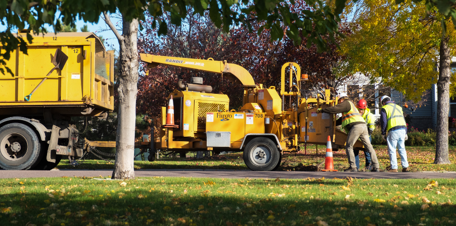 Recycling Brush and Tree Debris